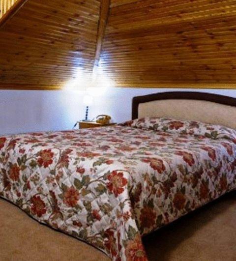 Hotel Bitouni Metsovo Pokój zdjęcie